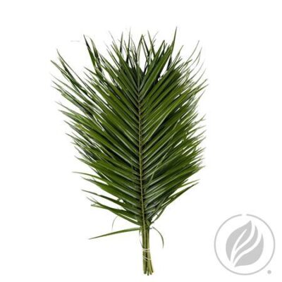 Рубеліні