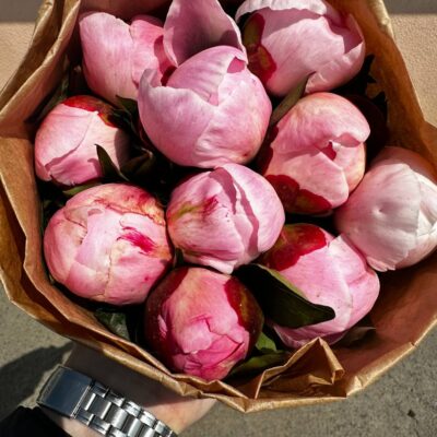 Піон місцевий Гарденія