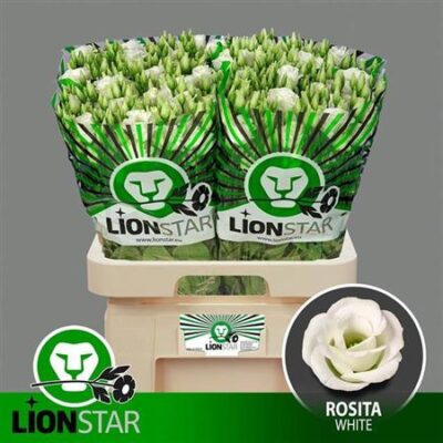 Еустома 'ROSI WHITE'