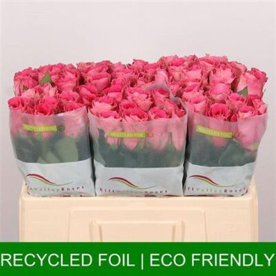 Одноголова троянда 'Watergame'