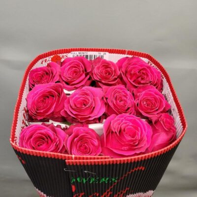 Еквадорська троянда 'Full Monty'