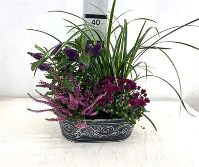 Горшкова композиція