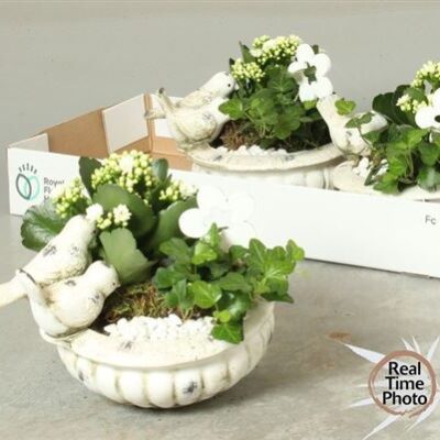 Горшкова композиція