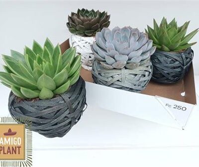 Композиція 7