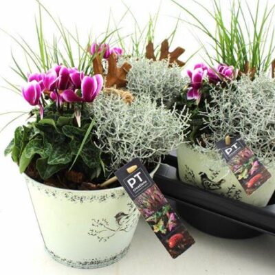 Композиція 8