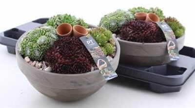 Композиція 6