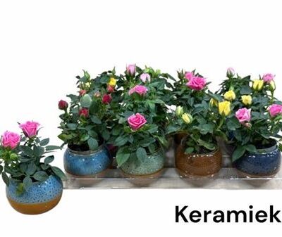 Композиція 5