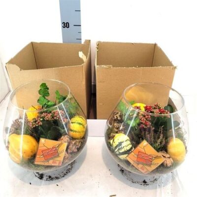 Композиція 4