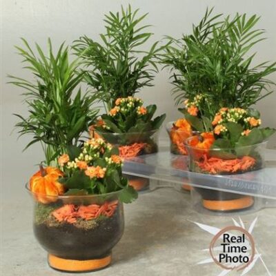 Композиція 11