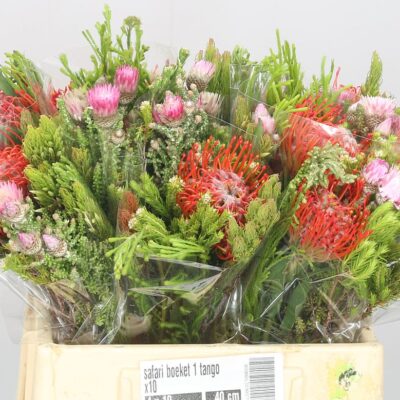 Букети 'Protea Per Bos'
