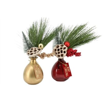 Амарант 'Caud Lightpink Bunc'