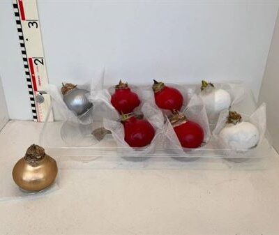 Гіпеаструм в воску 2