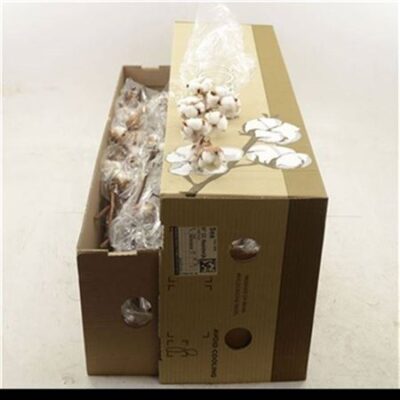 Бавовна 'Wit'