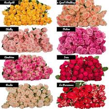 MIX ROSES