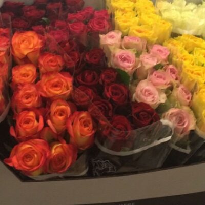 MIX ROSES