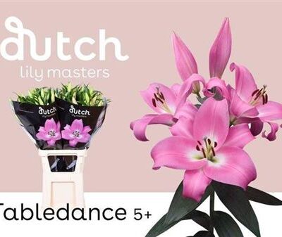 Лілія 'Tabledance'