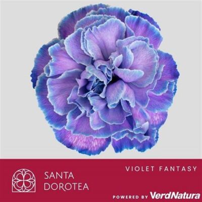 Гвоздика 'Ov Klb H% blue'