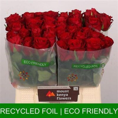 Одноголова троянда 'Madam Red'