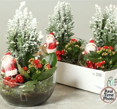 Композиція скло