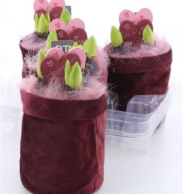 Композиція 'Hyacinth'