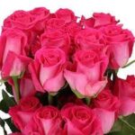 Еквадорська троянда 'Topaz'