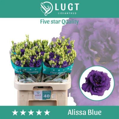 Еустома 'ALISSA BLUE'