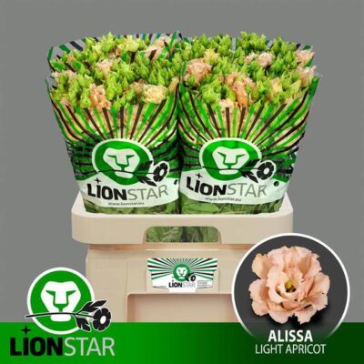 Еустома 'ALISSA L APRIC'